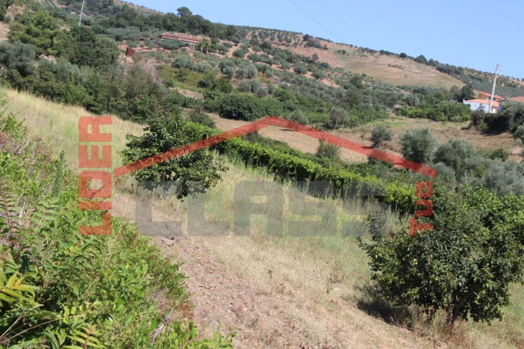 Terreno Agricola ou Rústico para Venda em Mascarenhas Foto 1