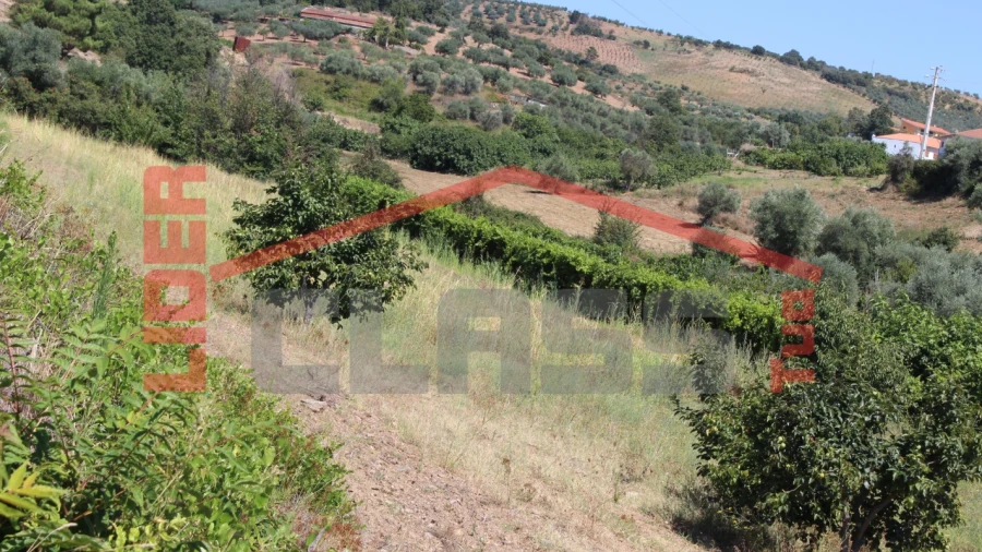 Terreno Agricola ou Rústico para Venda em Mascarenhas