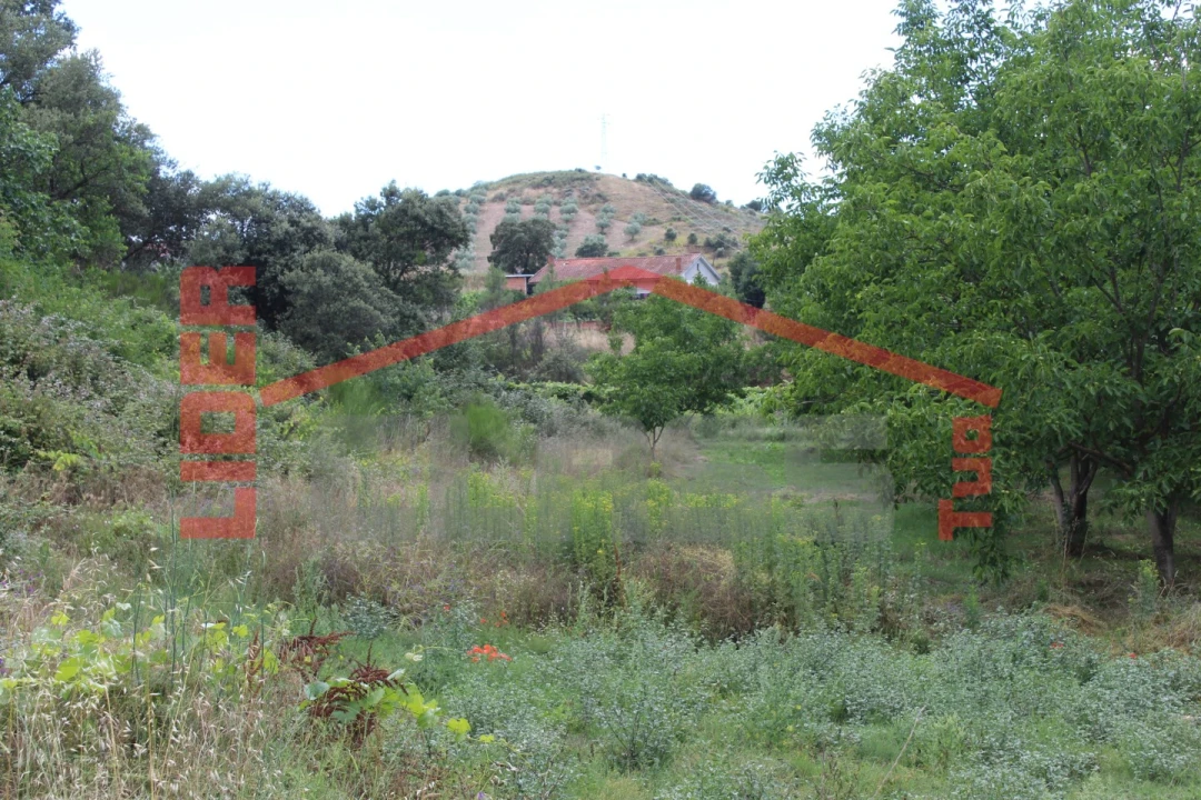Terreno Agricola ou Rústico para Venda em Mirandela Foto 7