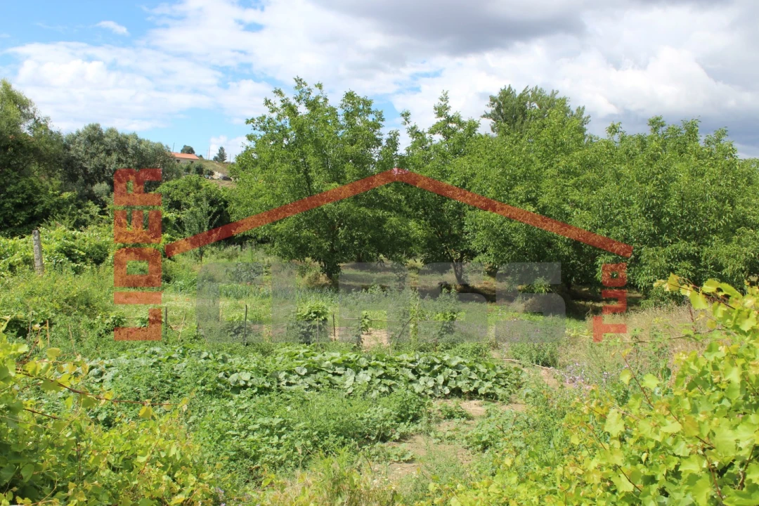 Terreno Agricola ou Rústico para Venda em Mirandela Foto 1