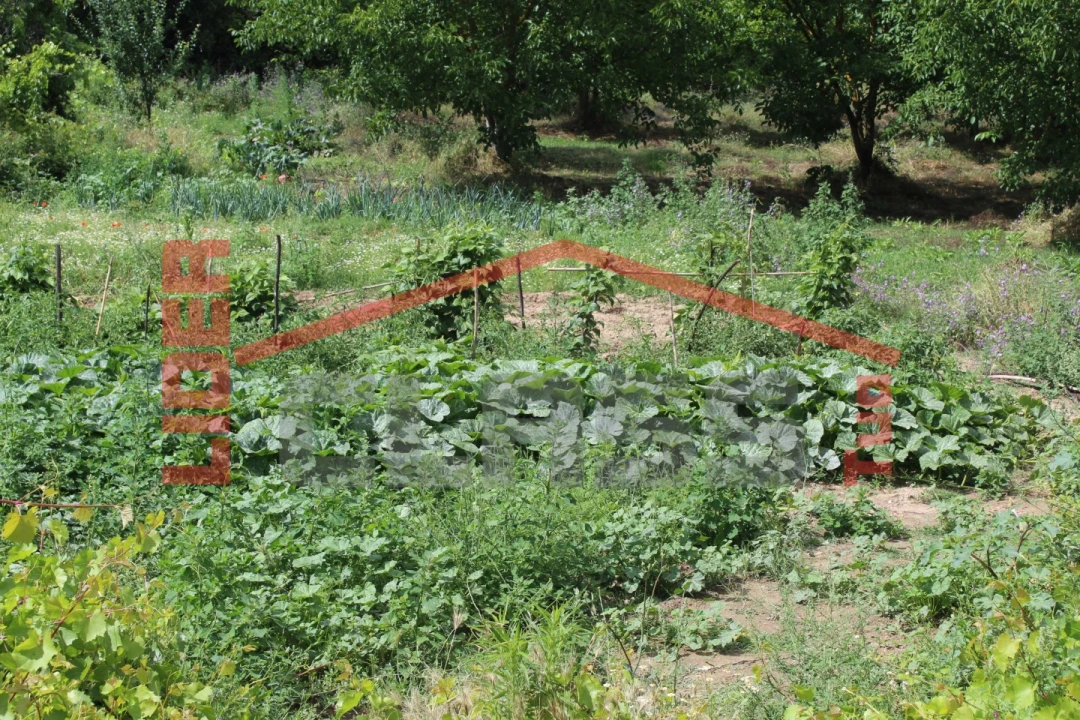 Terreno Agricola ou Rústico para Venda em Mirandela Foto 2