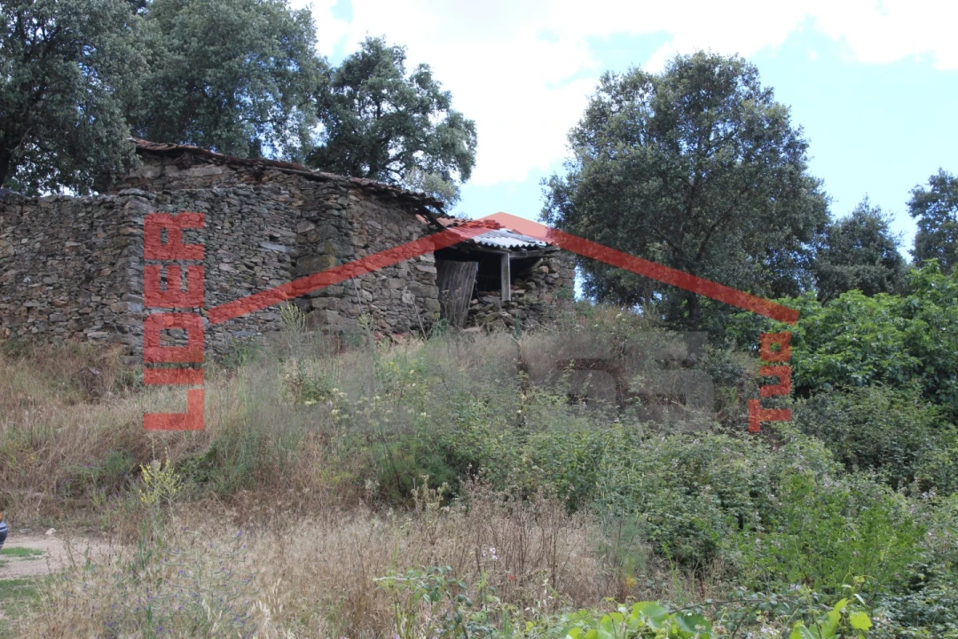 Terreno Agricola ou Rústico para Venda em Mirandela Foto 10