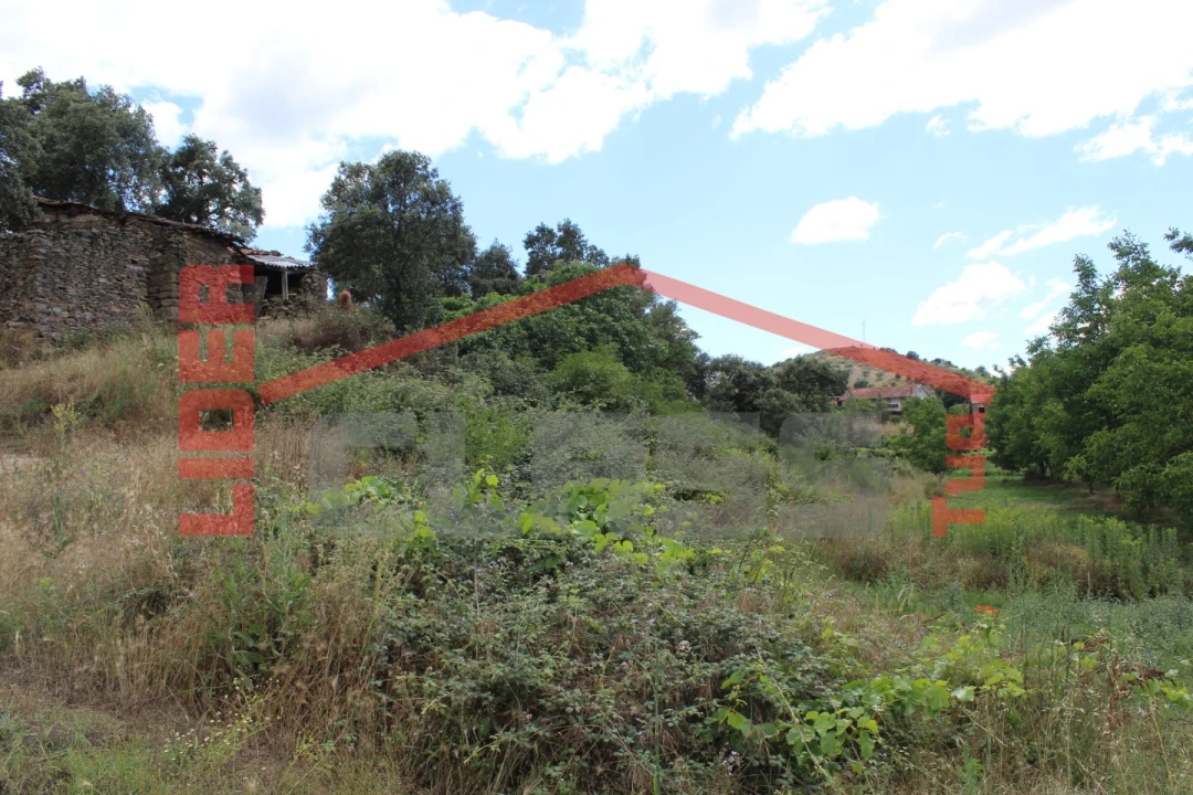 Terreno Agricola ou Rústico para Venda em Mirandela Foto 11