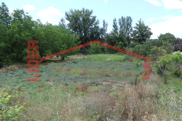 Terreno Agricola ou Rústico para Venda em Mirandela Foto 5