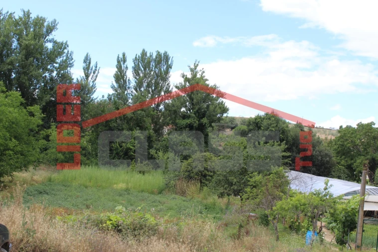 Terreno Agricola ou Rústico para Venda em Mirandela Foto 8