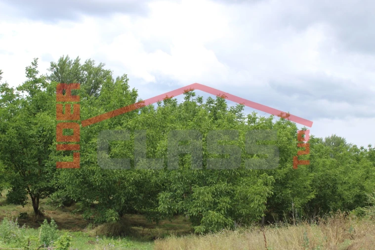 Terreno Agricola ou Rústico para Venda em Mirandela Foto 3