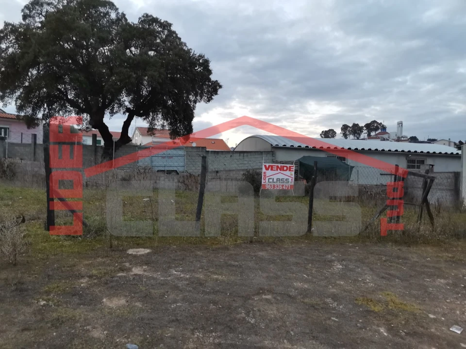 Terreno Agricola ou Rústico para Venda em Mirandela Foto 1