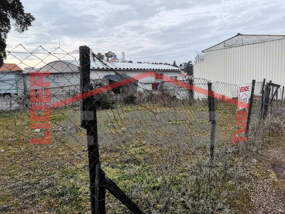 Terreno Agricola ou Rústico para Venda em Mirandela Foto 2