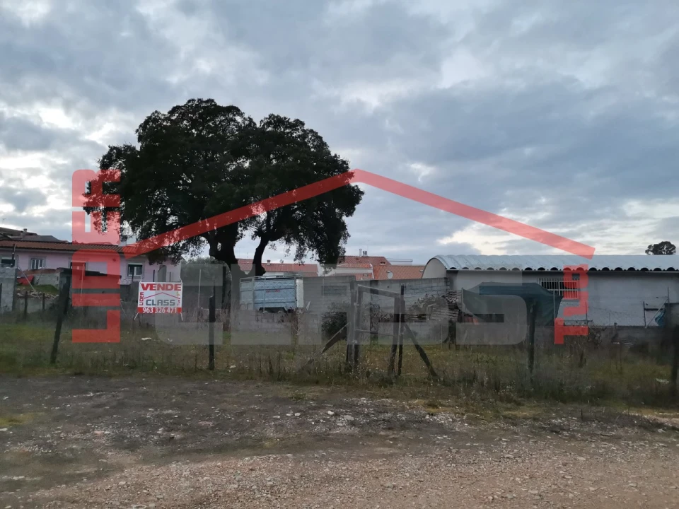 Terreno Agricola ou Rústico para Venda em Mirandela Foto 5