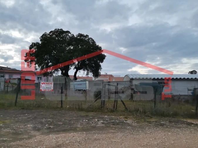 Terreno Agricola ou Rústico para Venda em Mirandela Foto 5