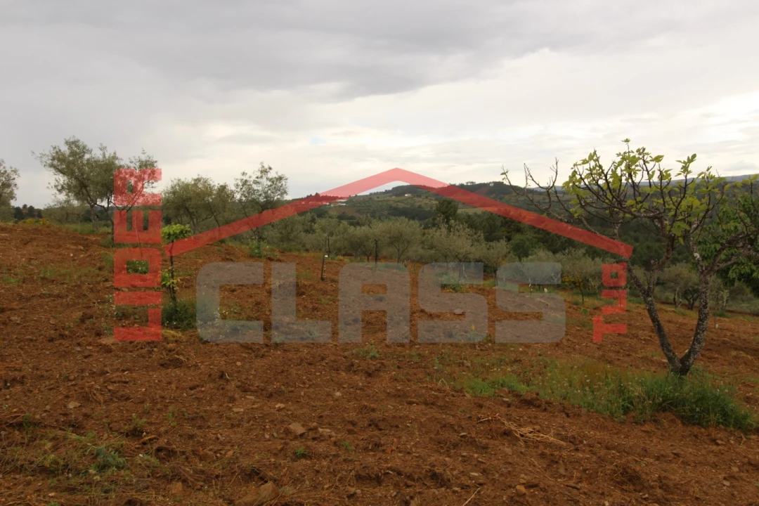 Terreno para Venda em Bouça Foto 9