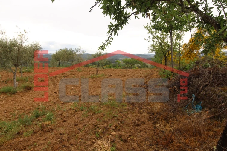 Terreno para Venda em Bouça Foto 3