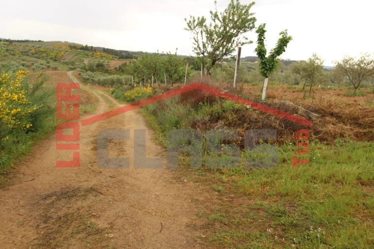 Terreno para Venda em Bouça Foto 4