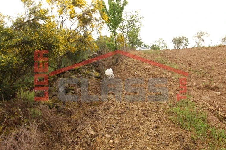 Terreno para Venda em Bouça Foto 11