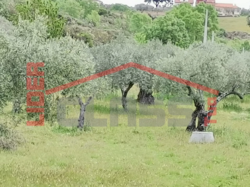 Terreno Agricola ou Rústico para Venda em Castro Vicente Foto 3