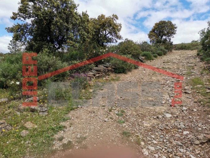 Terreno Agricola ou Rústico para Venda em Castro Vicente Foto 5