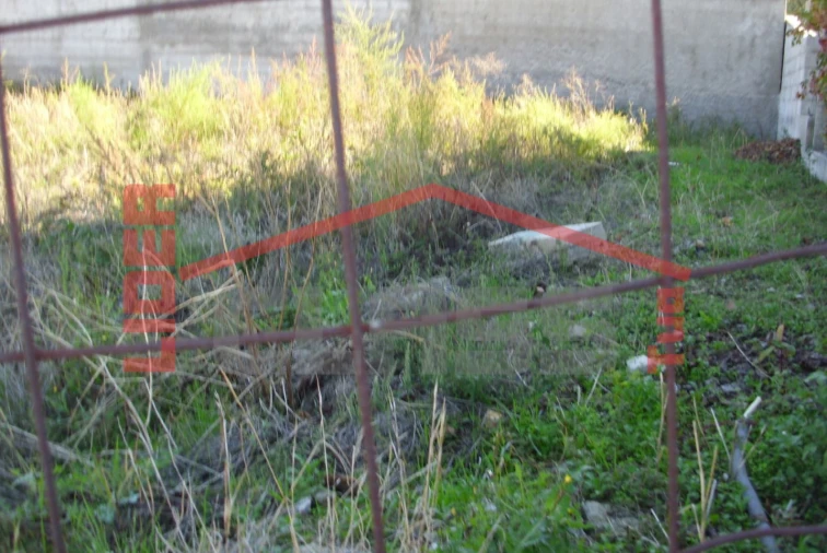 Terreno para Venda em Mirandela Foto 3