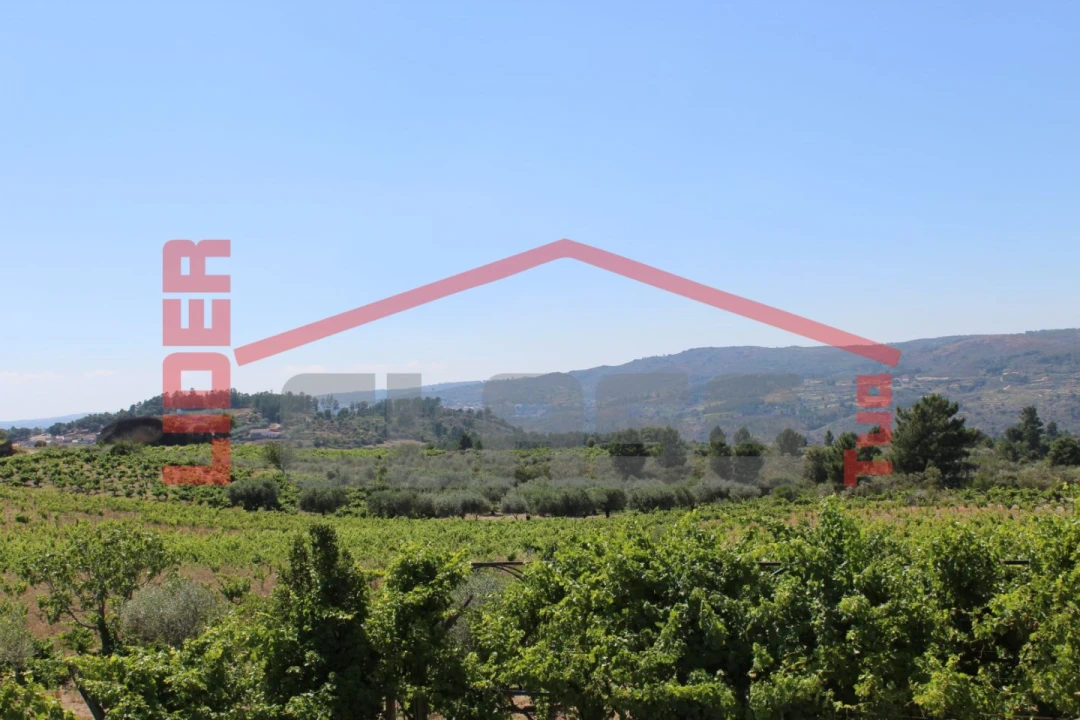 Moradia T6 para Venda em Aguieiras Foto 54