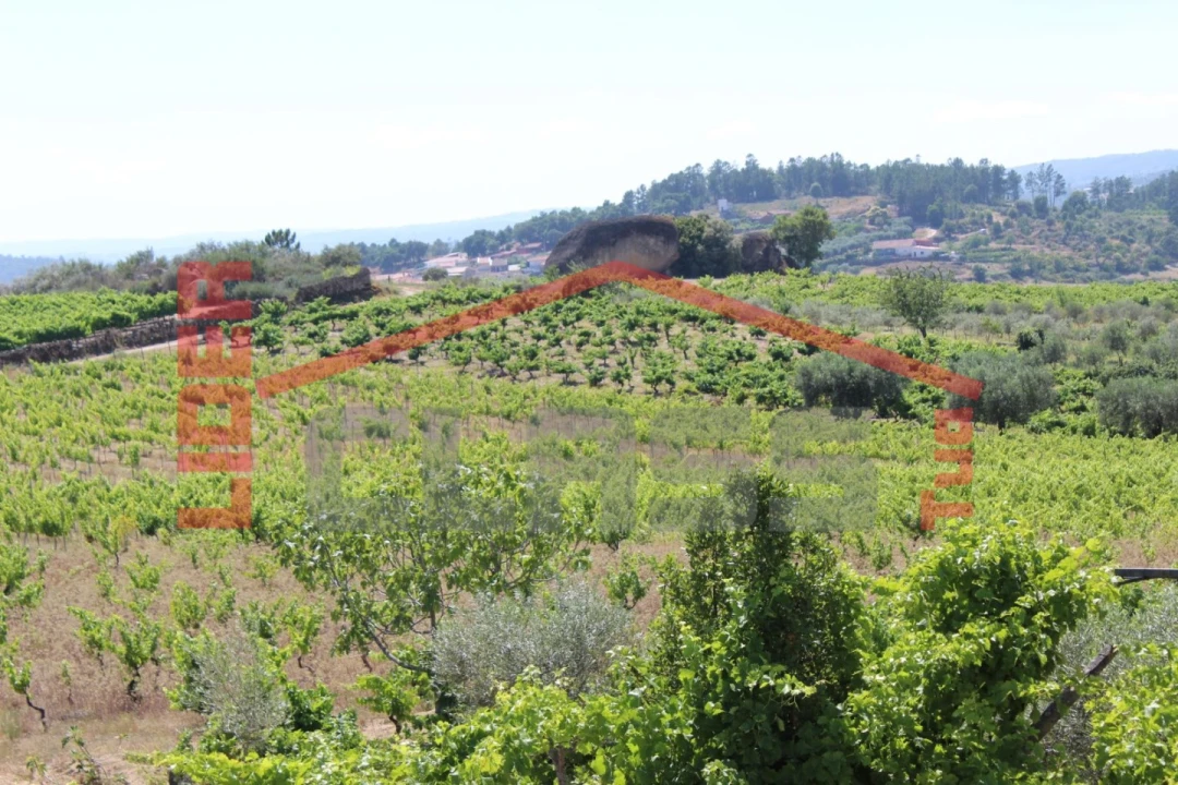 Moradia T6 para Venda em Aguieiras Foto 55