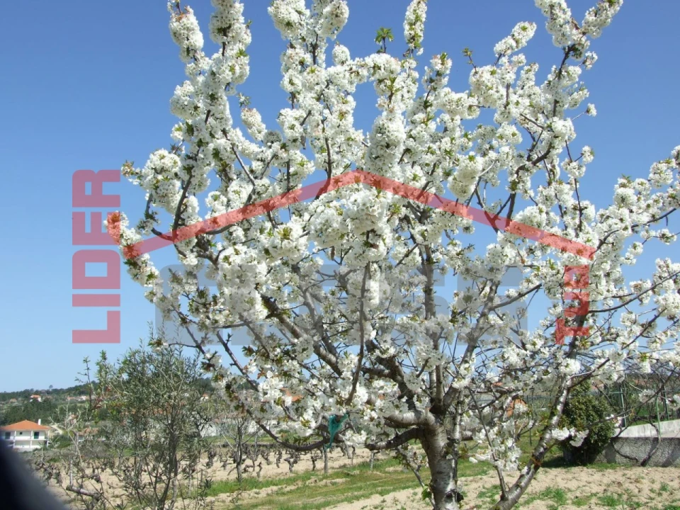 Moradia T6 para Venda em Aguieiras Foto 68