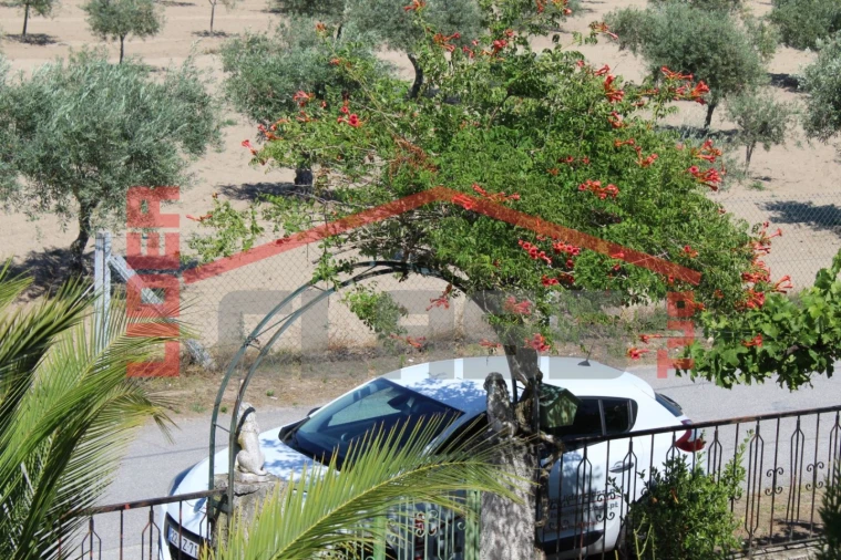 Moradia T6 para Venda em Aguieiras Foto 52