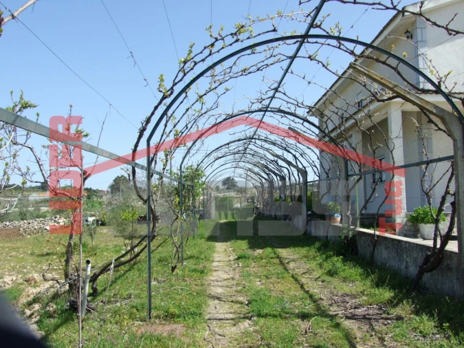 Moradia T6 para Venda em Aguieiras Foto 58