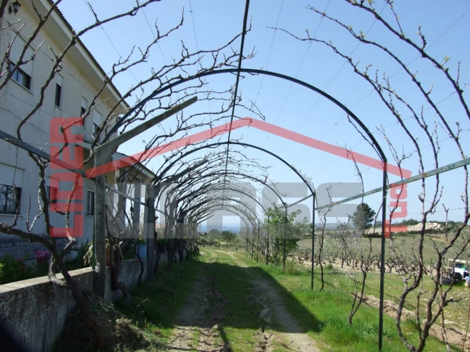 Moradia T6 para Venda em Aguieiras Foto 59