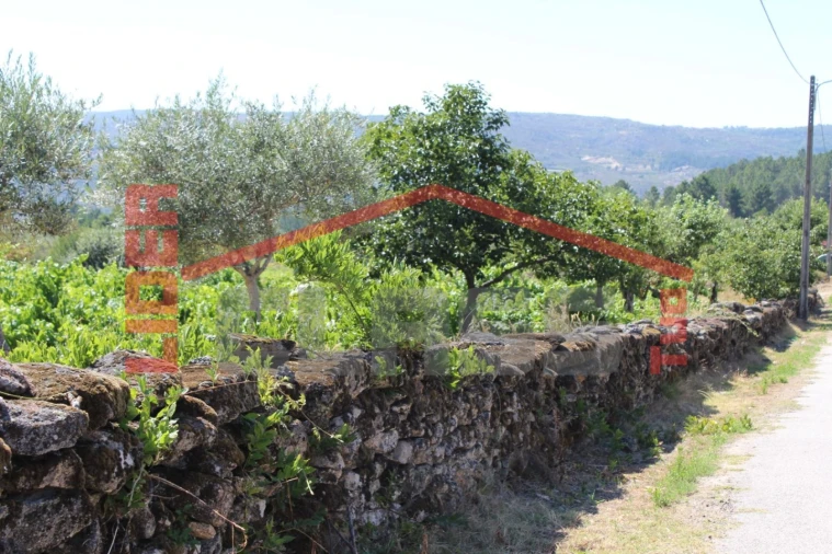 Moradia T6 para Venda em Aguieiras Foto 63