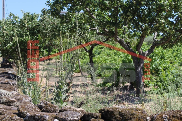 Moradia T6 para Venda em Aguieiras Foto 65