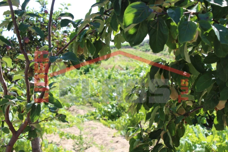 Moradia T6 para Venda em Aguieiras Foto 67