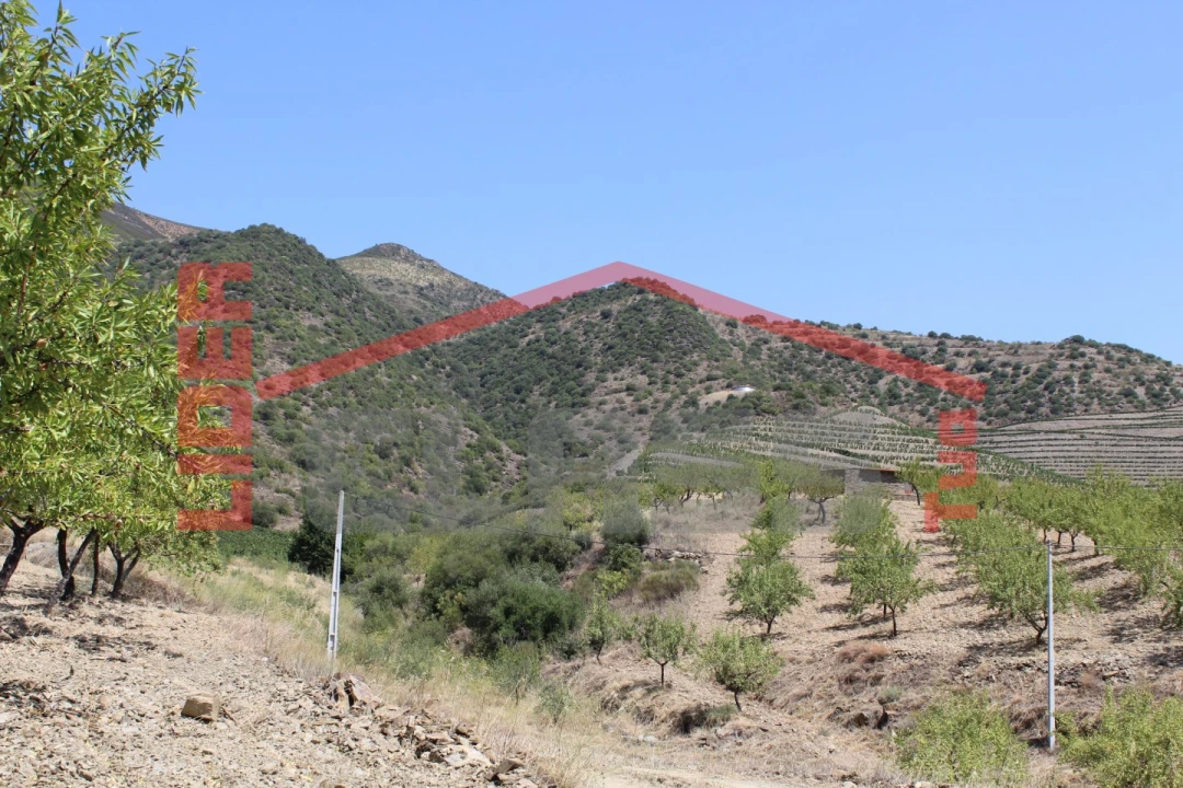 Quinta para Venda em Urros e Peredo dos Castelhanos Foto 16