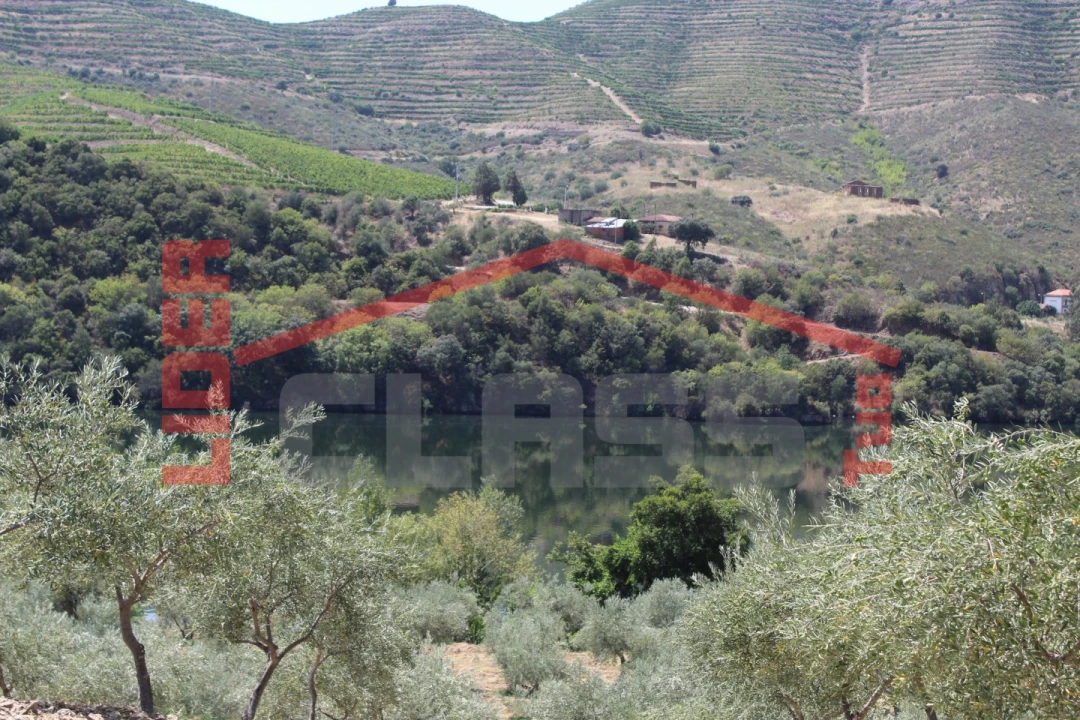 Quinta para Venda em Urros e Peredo dos Castelhanos Foto 4