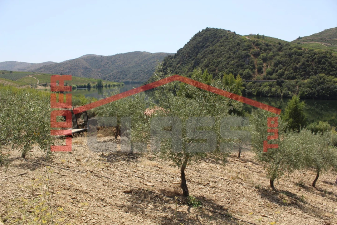 Quinta para Venda em Urros e Peredo dos Castelhanos Foto 20