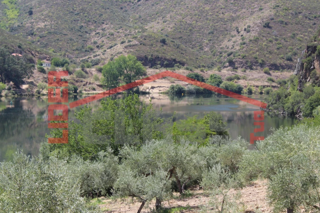 Quinta para Venda em Urros e Peredo dos Castelhanos Foto 22