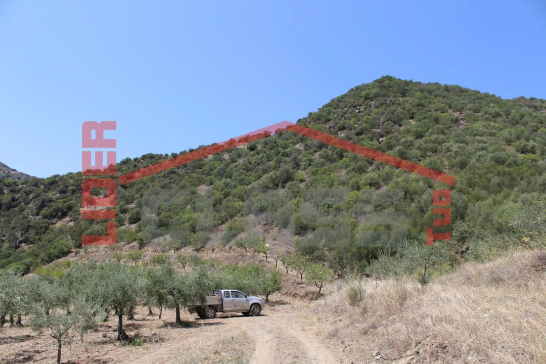 Quinta para Venda em Urros e Peredo dos Castelhanos Foto 24