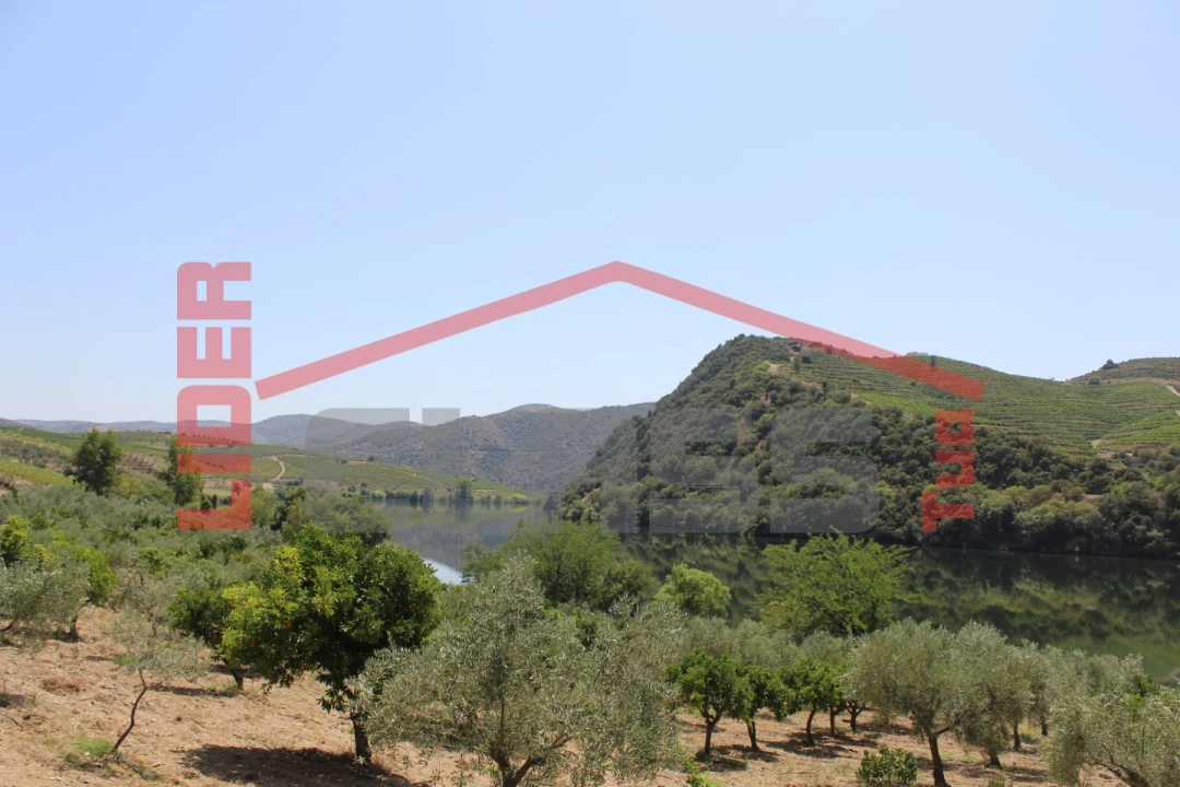 Quinta para Venda em Urros e Peredo dos Castelhanos Foto 26