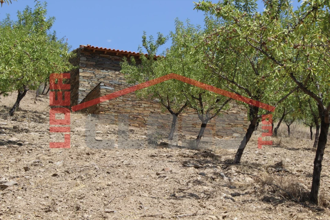 Quinta para Venda em Urros e Peredo dos Castelhanos Foto 5