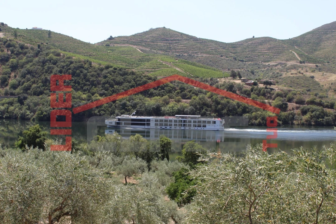 Quinta para Venda em Urros e Peredo dos Castelhanos Foto 3