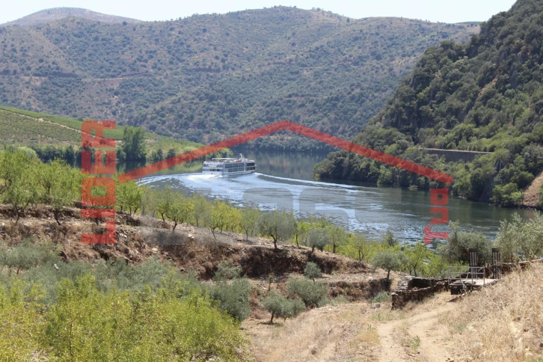 Quinta para Venda em Urros e Peredo dos Castelhanos Foto 2