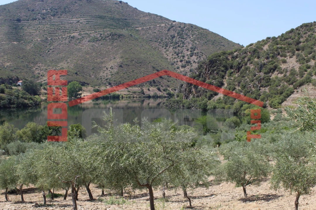 Quinta para Venda em Urros e Peredo dos Castelhanos Foto 34