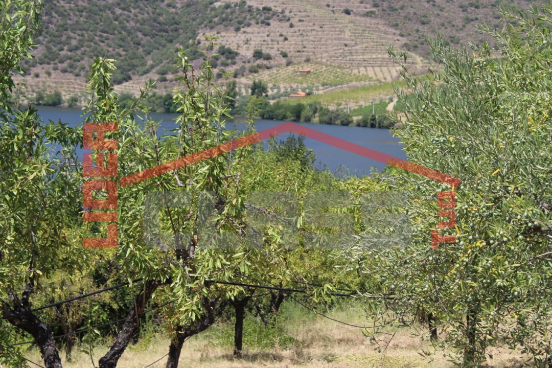 Quinta para Venda em Urros e Peredo dos Castelhanos Foto 38