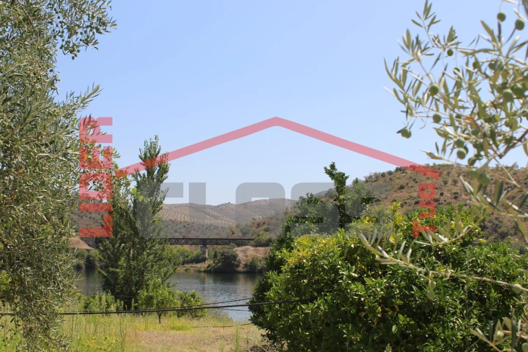 Quinta para Venda em Urros e Peredo dos Castelhanos Foto 39