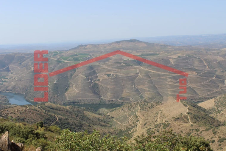 Quinta para Venda em Urros e Peredo dos Castelhanos Foto 11