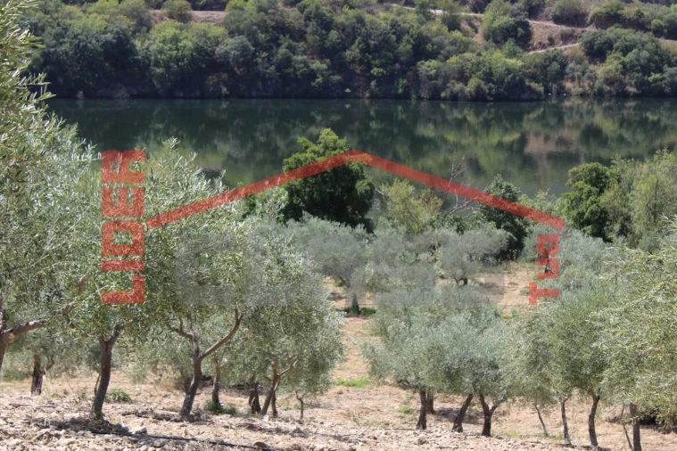 Quinta para Venda em Urros e Peredo dos Castelhanos Foto 15