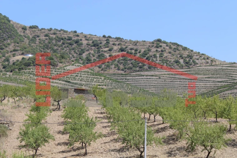 Quinta para Venda em Urros e Peredo dos Castelhanos Foto 9