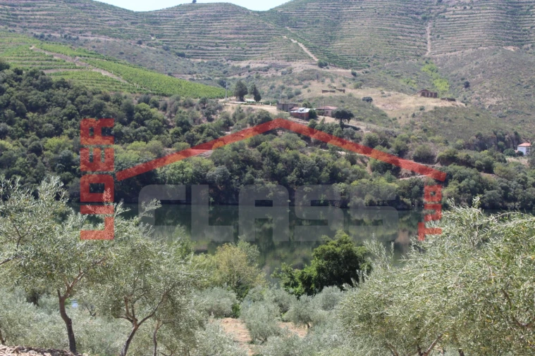 Quinta para Venda em Urros e Peredo dos Castelhanos Foto 4