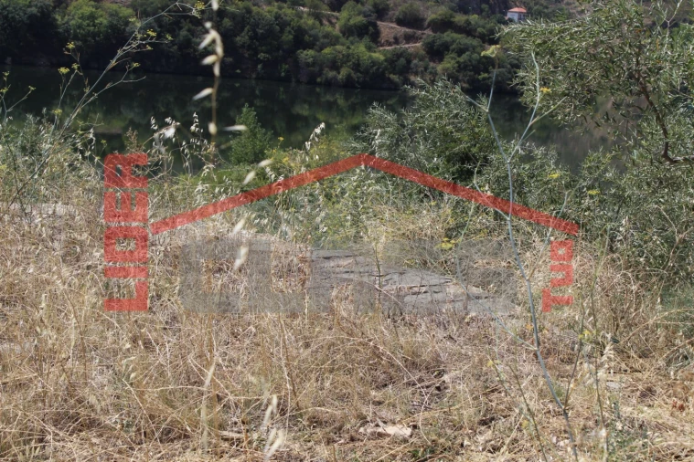 Quinta para Venda em Urros e Peredo dos Castelhanos Foto 17