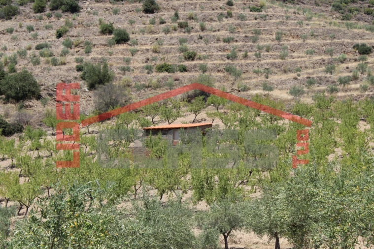 Quinta para Venda em Urros e Peredo dos Castelhanos Foto 12