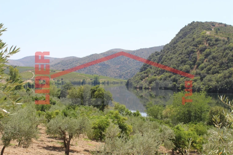 Quinta para Venda em Urros e Peredo dos Castelhanos Foto 8