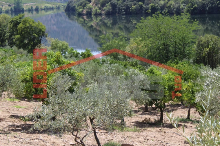 Quinta para Venda em Urros e Peredo dos Castelhanos Foto 21